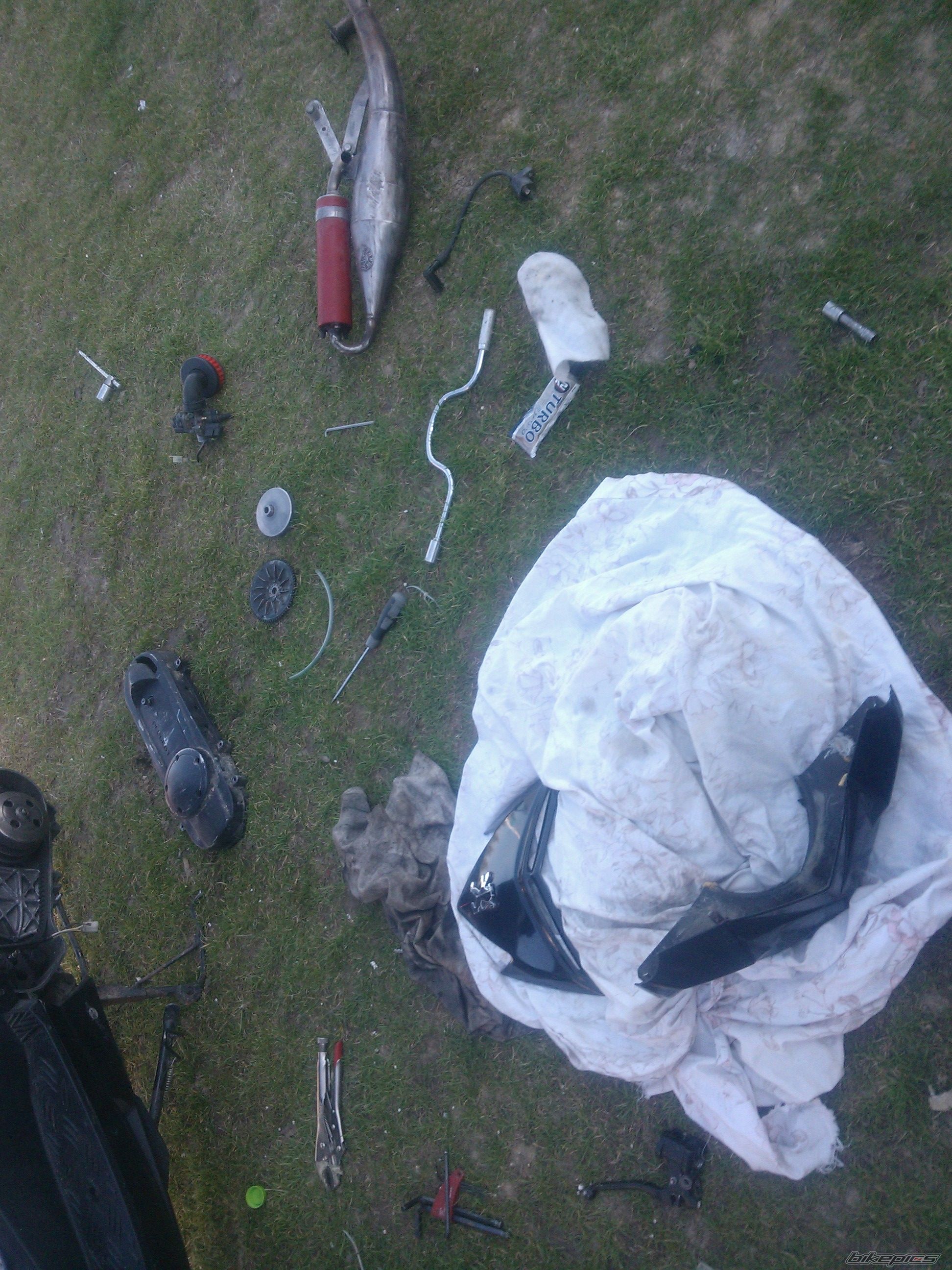Photo 2656366
