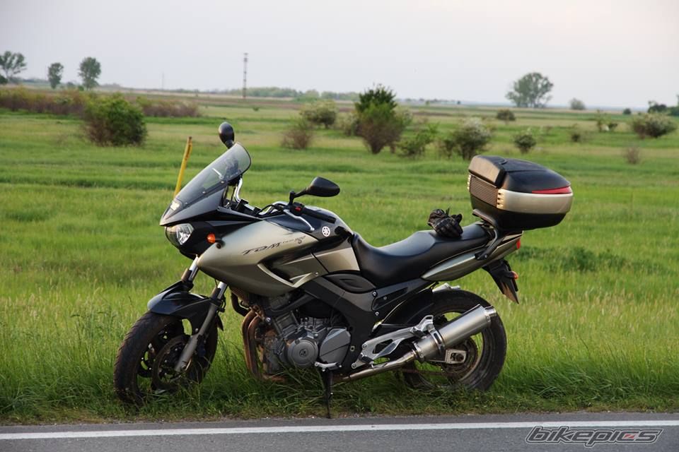 Photo 2656421