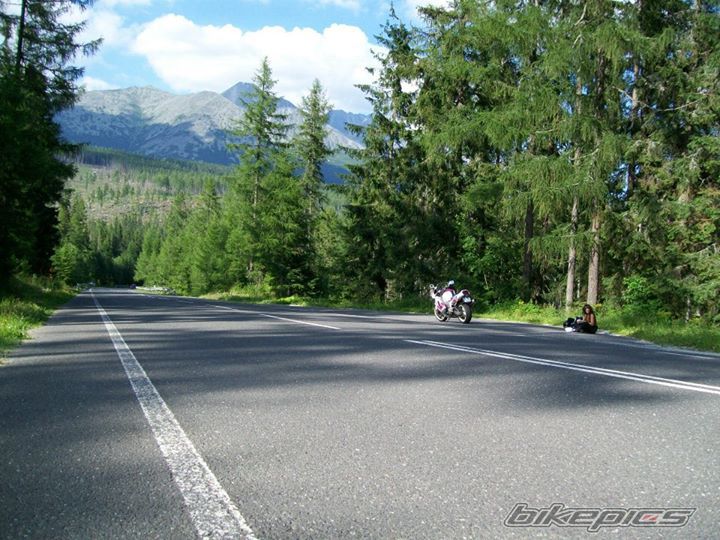 Photo 2656459