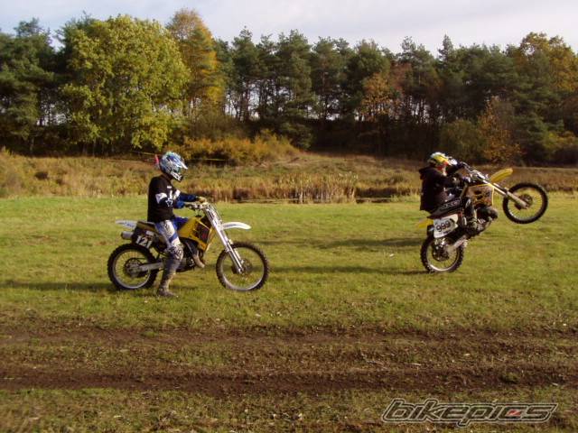 Photo 265646