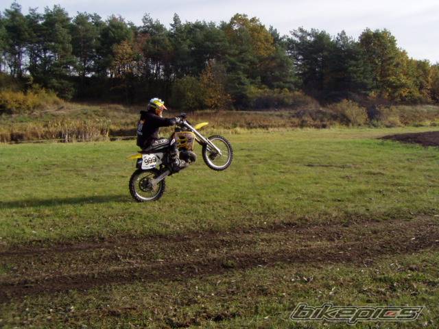 Photo 265648
