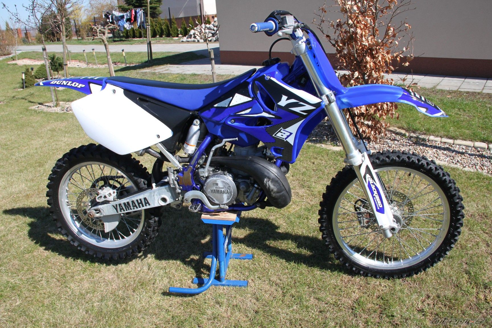 Photo 2656575