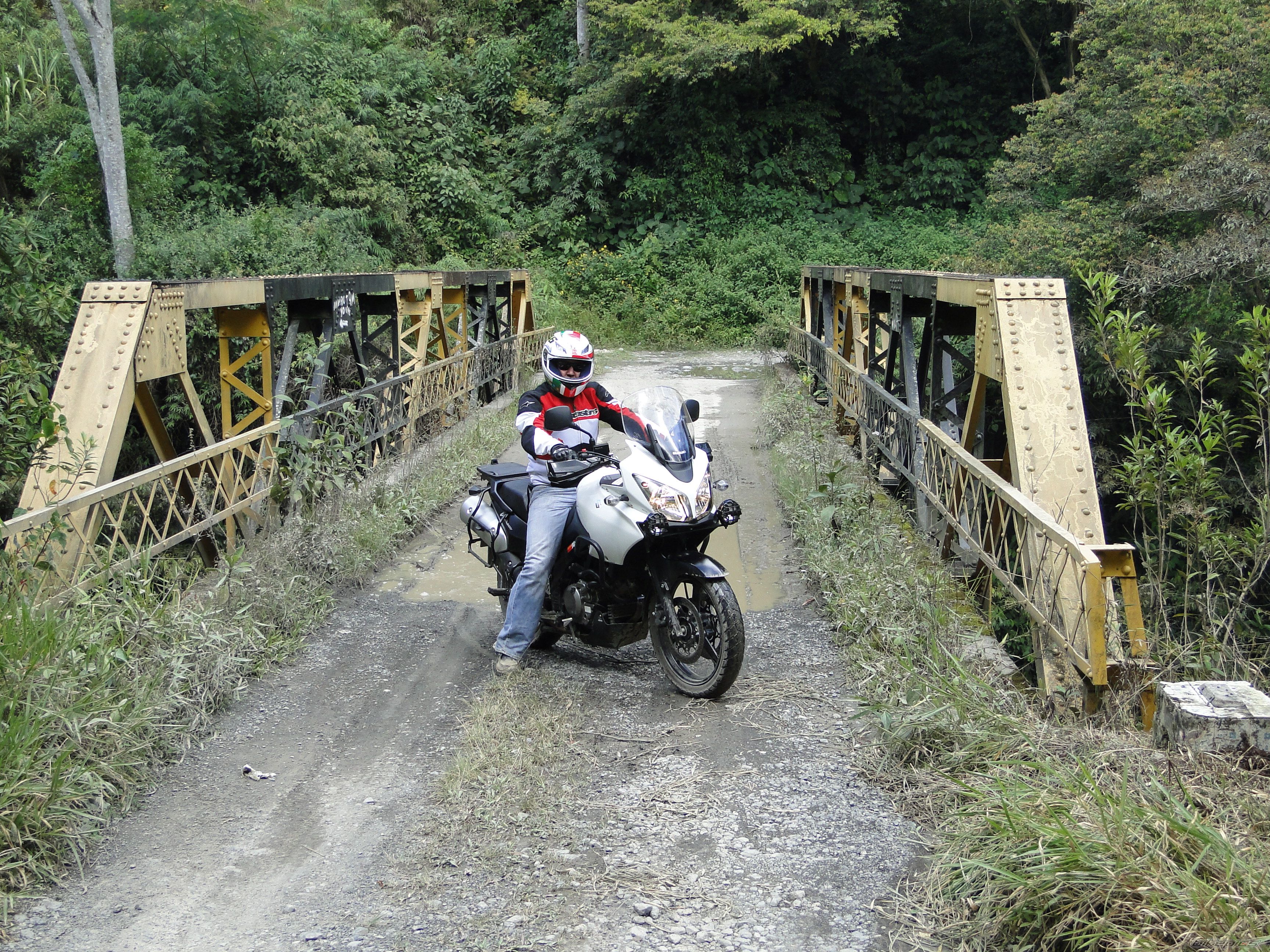 Photo 2656711