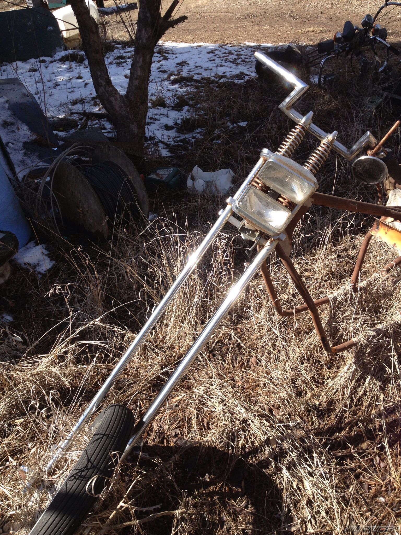 Photo 2656796