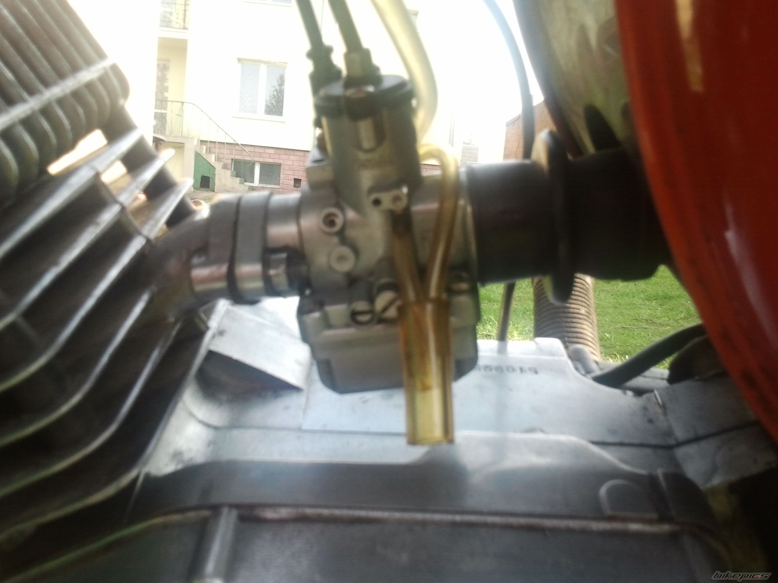 Photo 2656910
