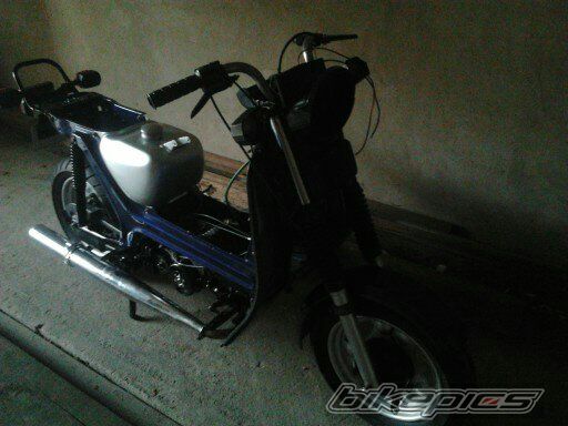 Photo 2656979