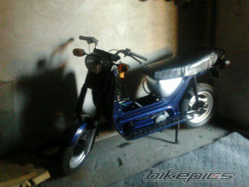 Photo 2656986