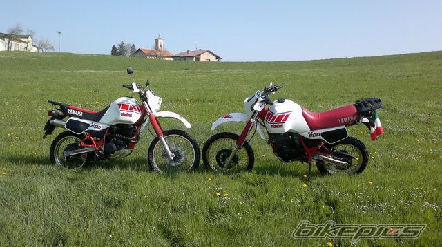 Photo 2657140