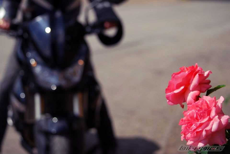 Photo 2657148