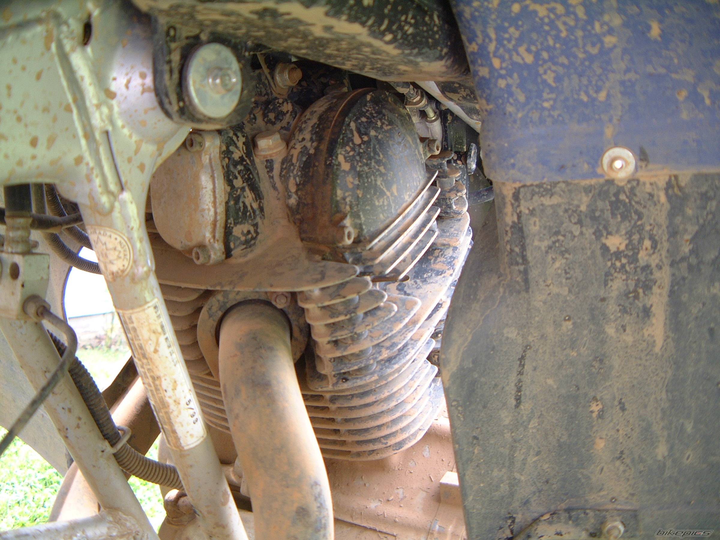 Bike Photo 265716