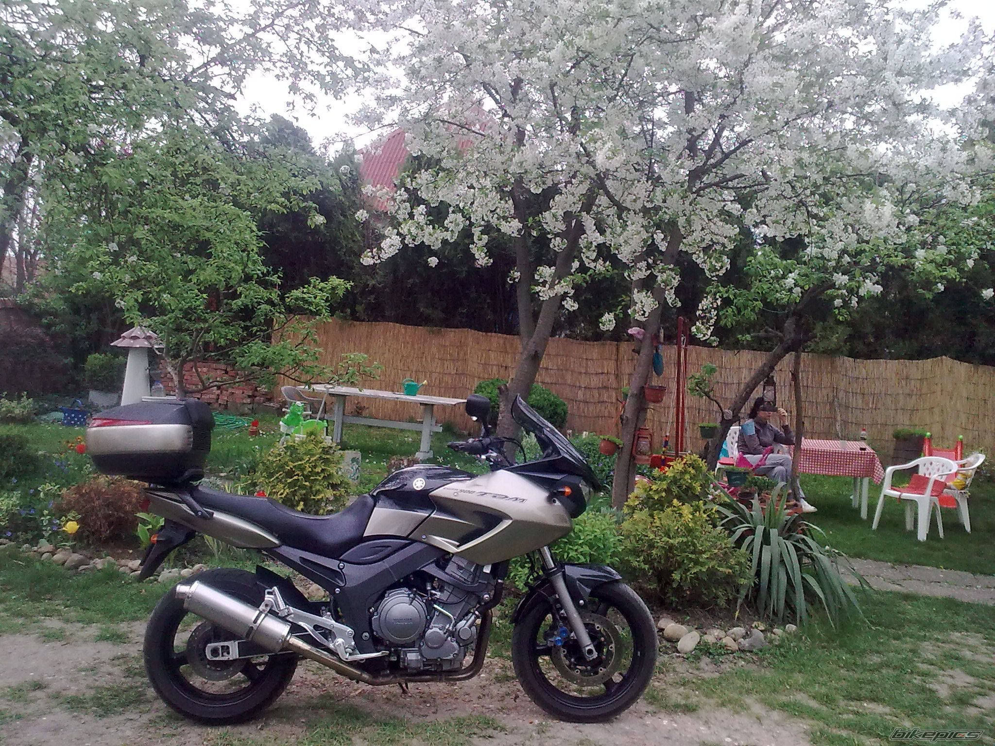 Photo 2657270