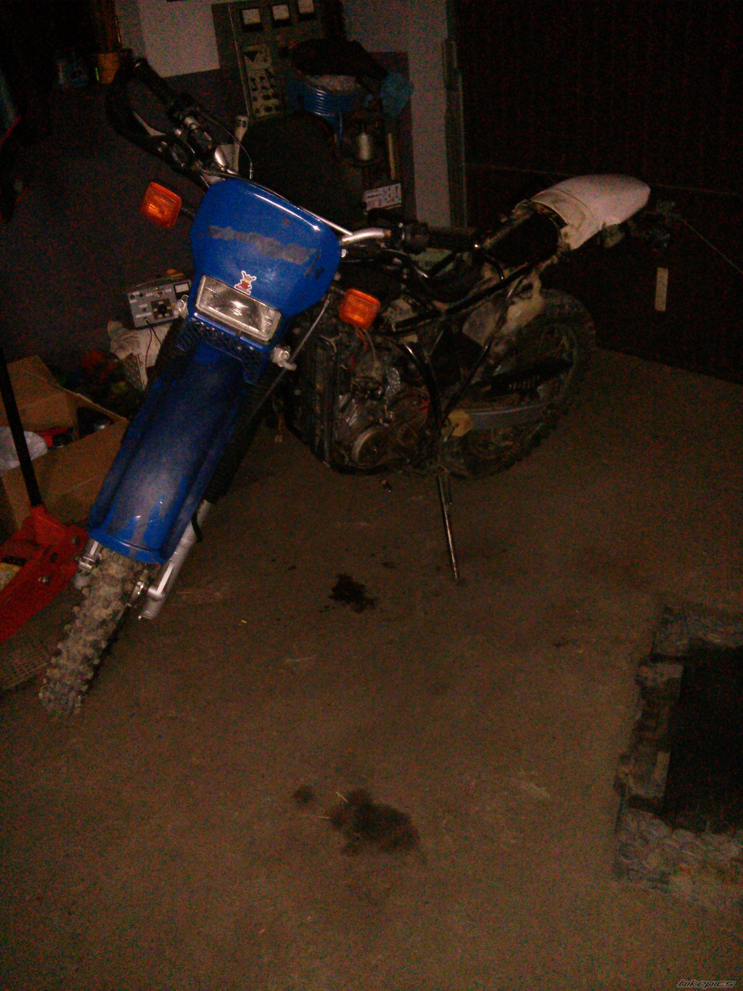 Photo 2657424
