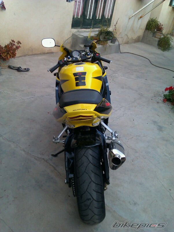 Photo 2657486