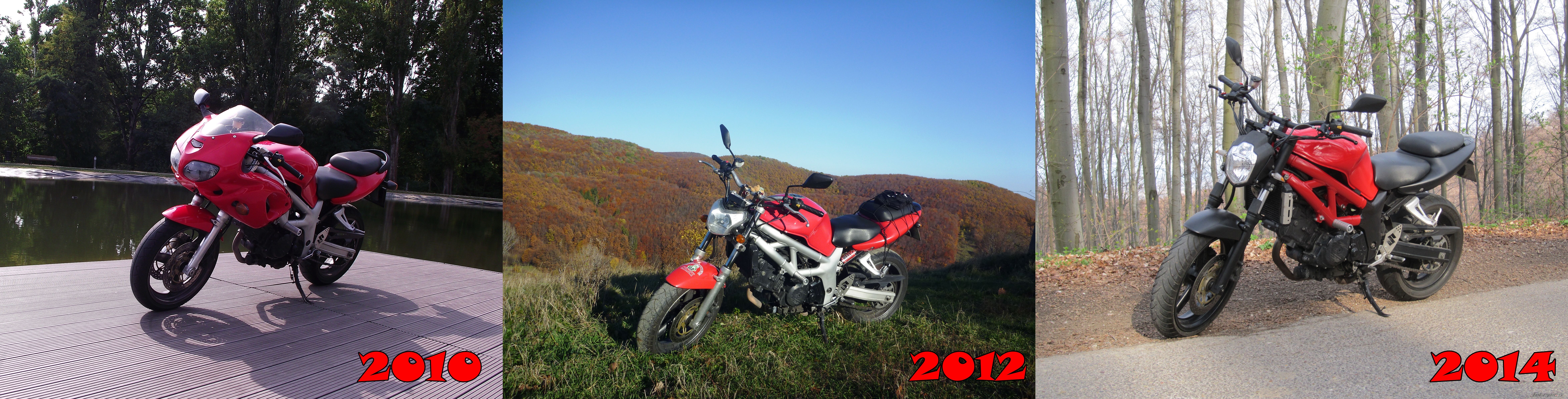 Photo 2657705
