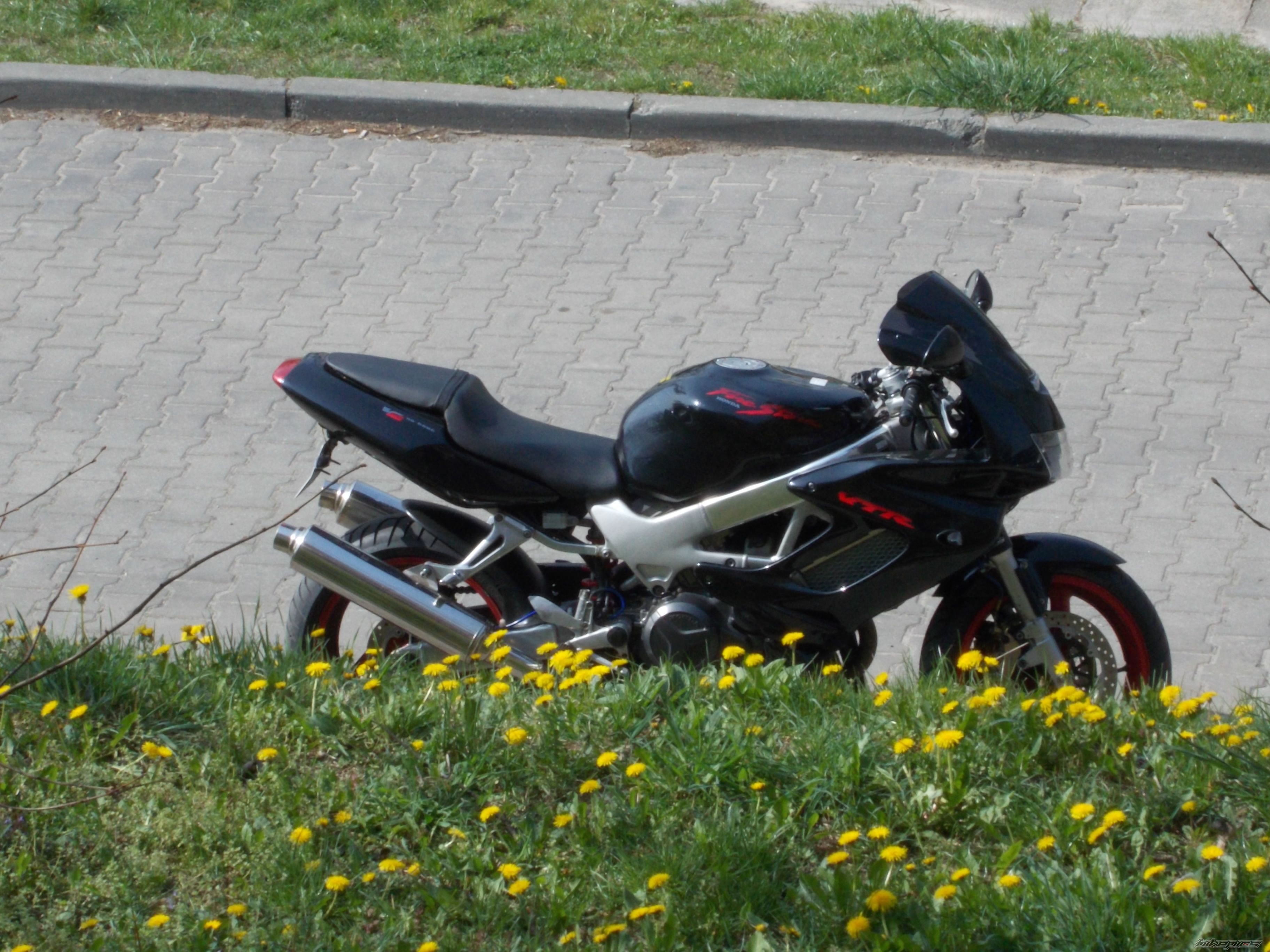 Photo 2657715
