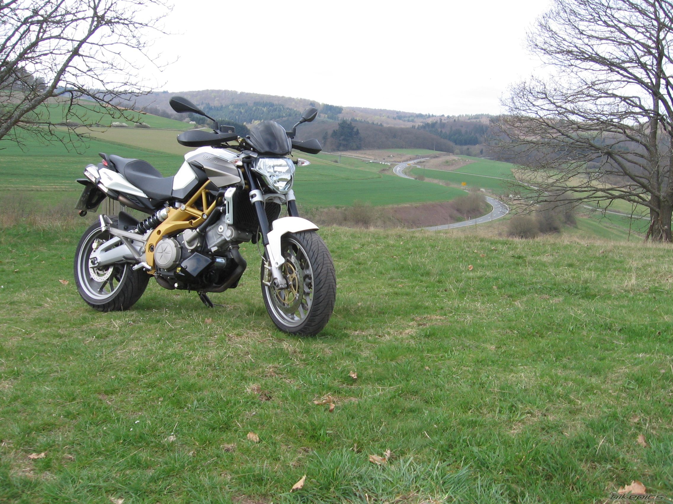 Photo 2657865