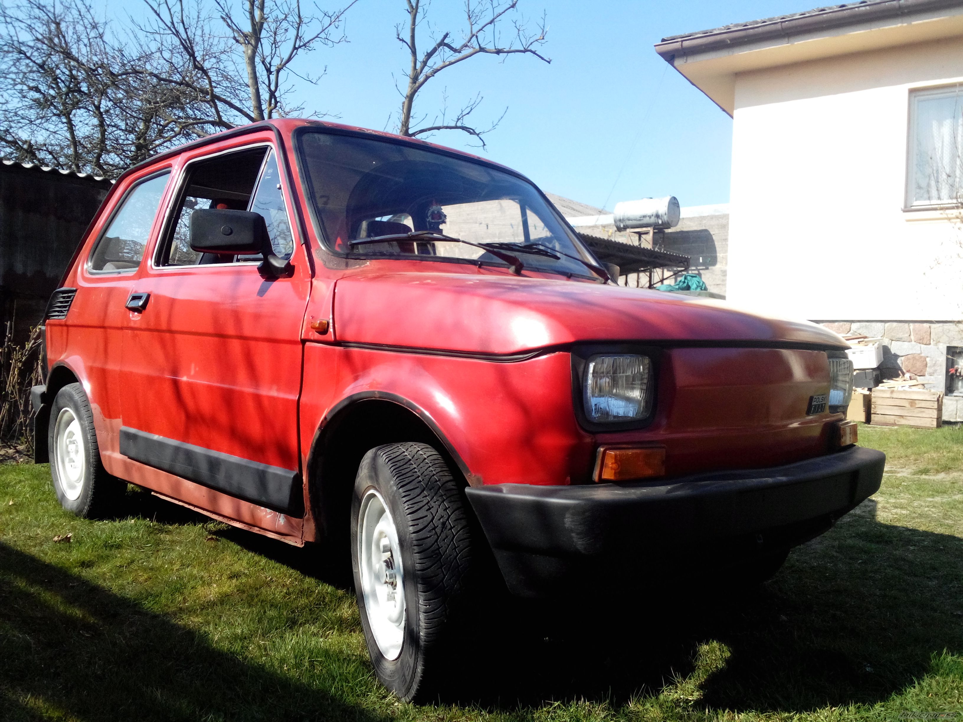 Photo 2657920