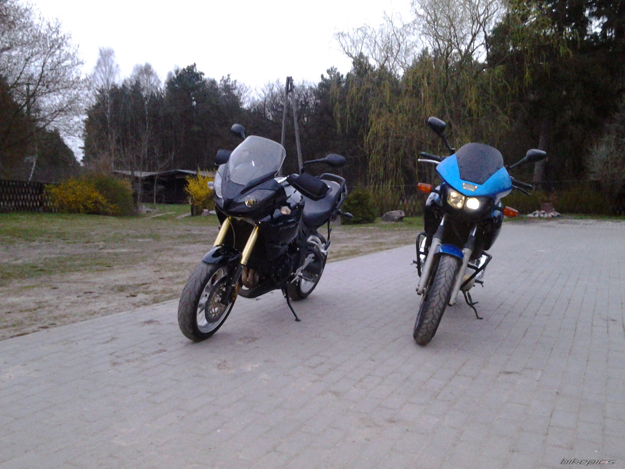 Photo 2658012
