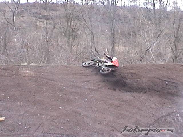 Photo 265818