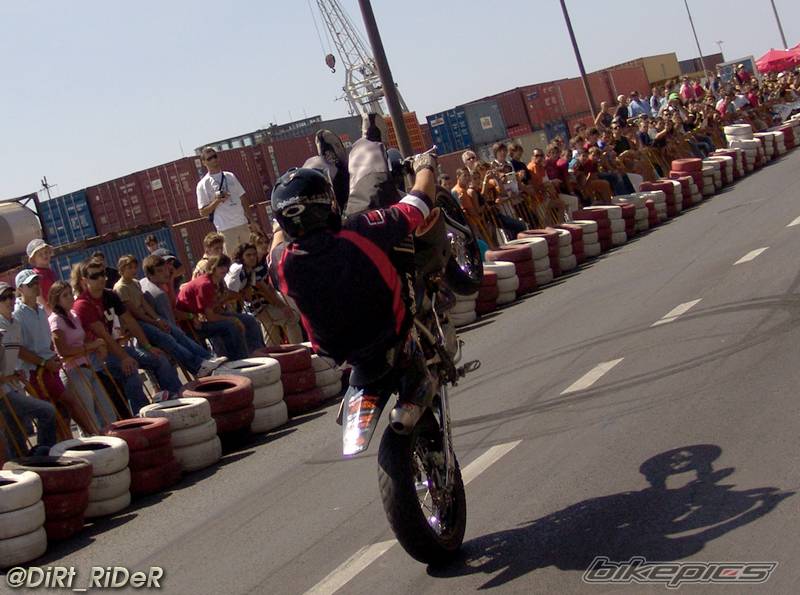 Photo 265824