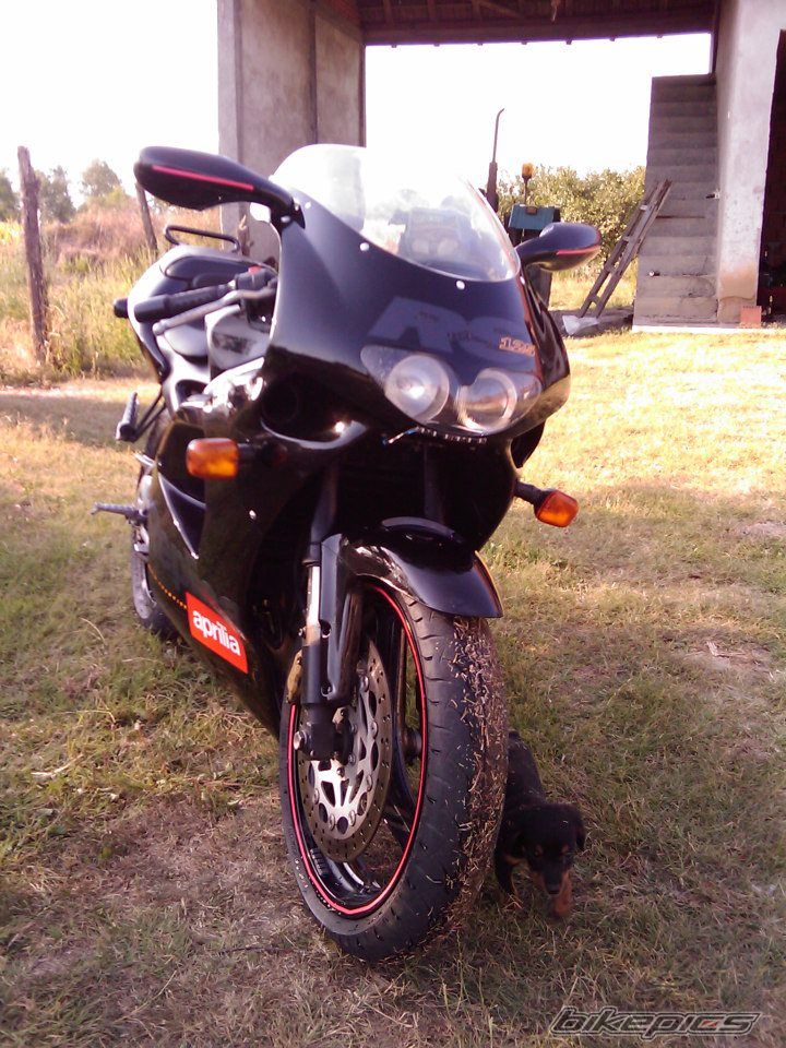 Photo 2658390