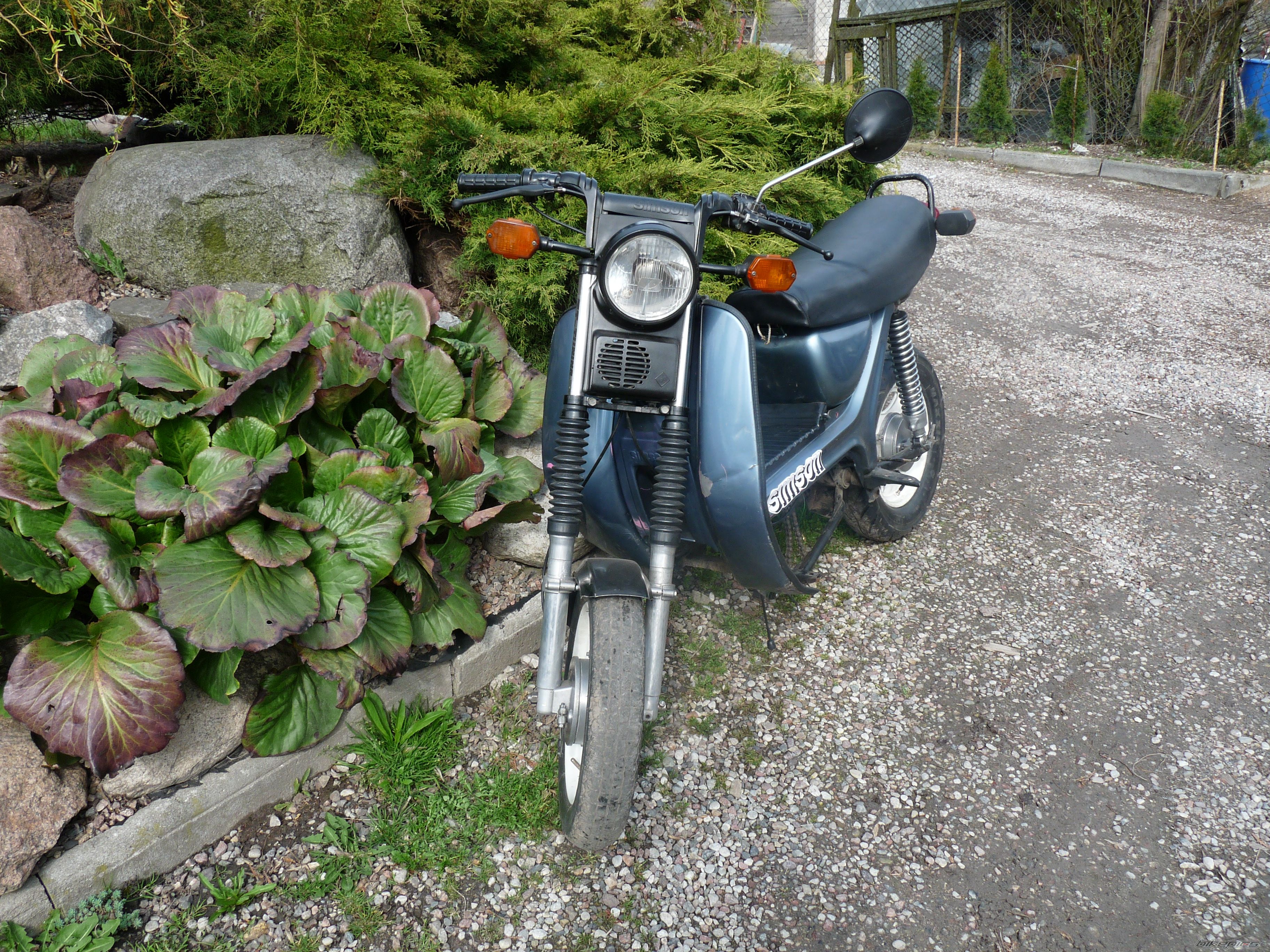Photo 2658465