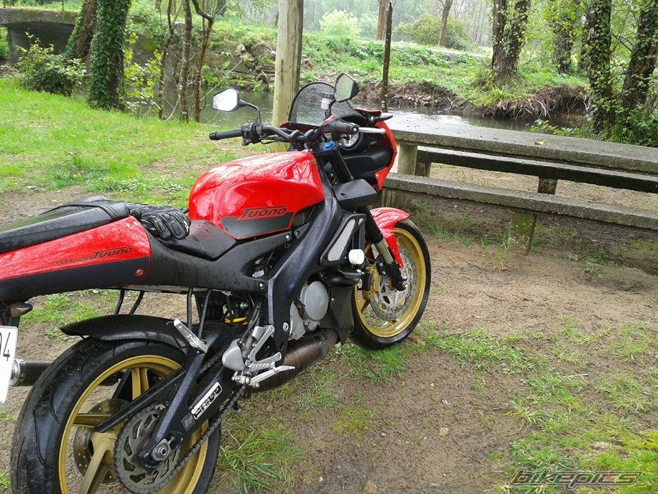 Photo 2658492