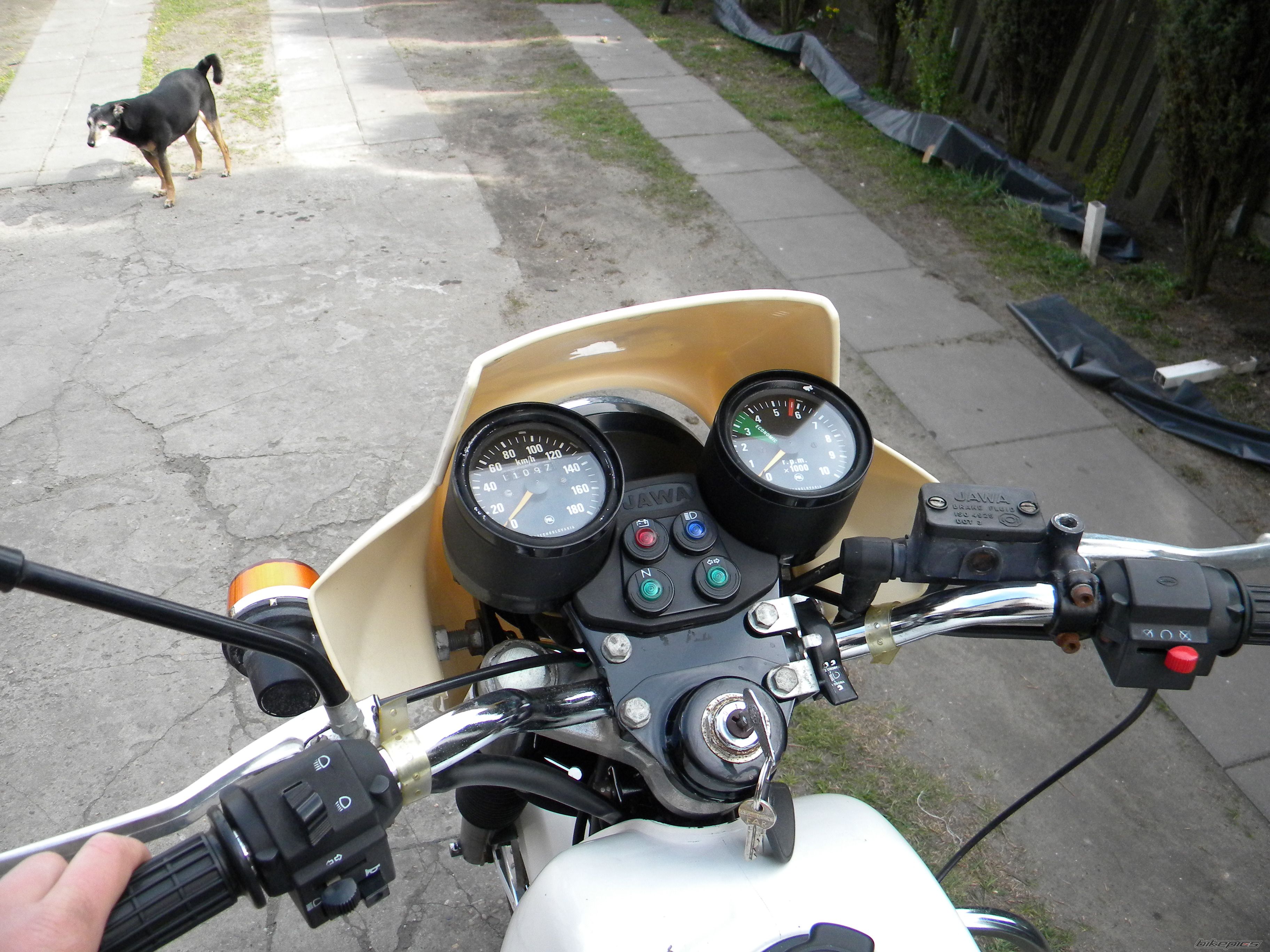 Photo 2658535