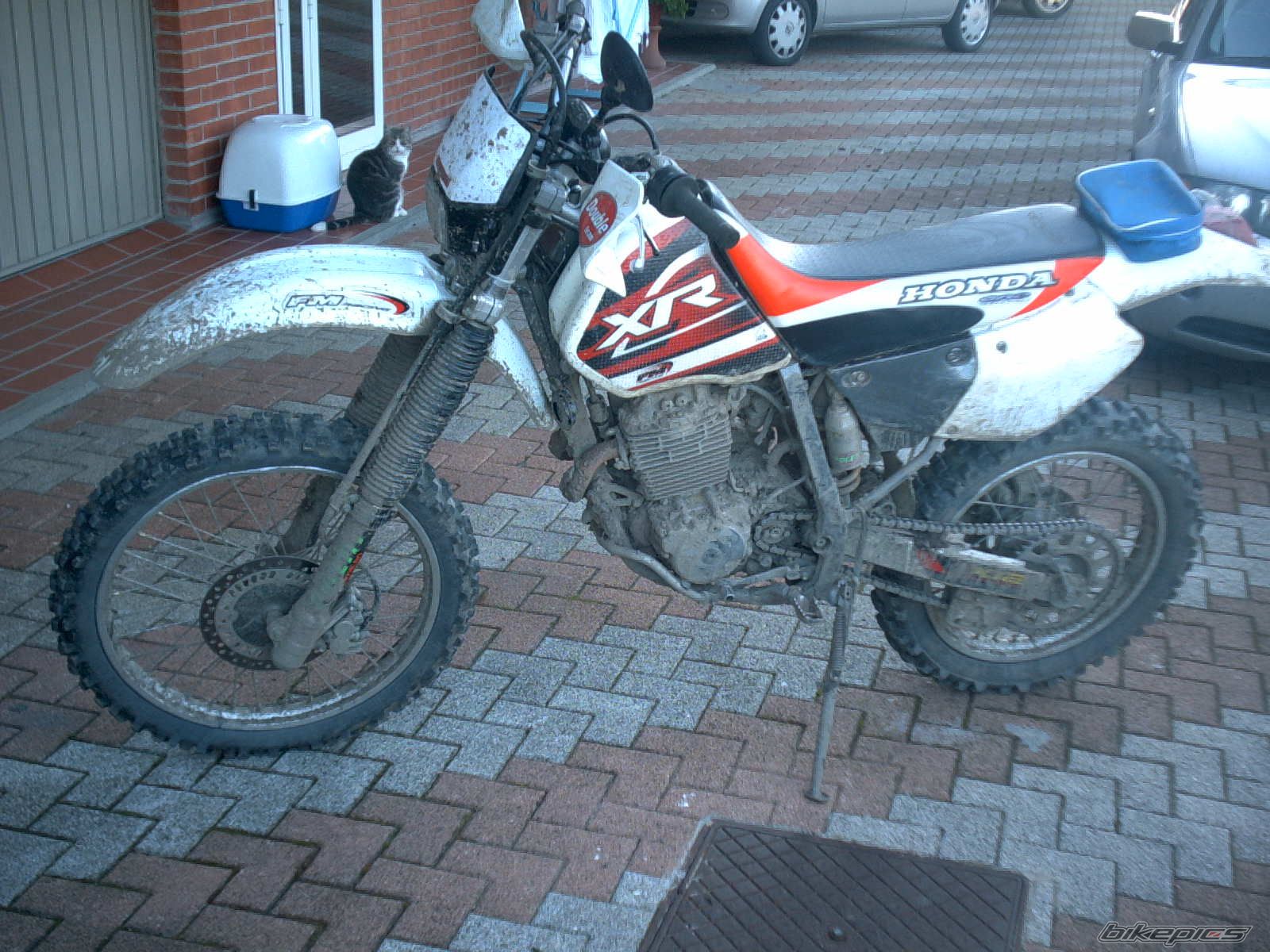 Photo 2658561