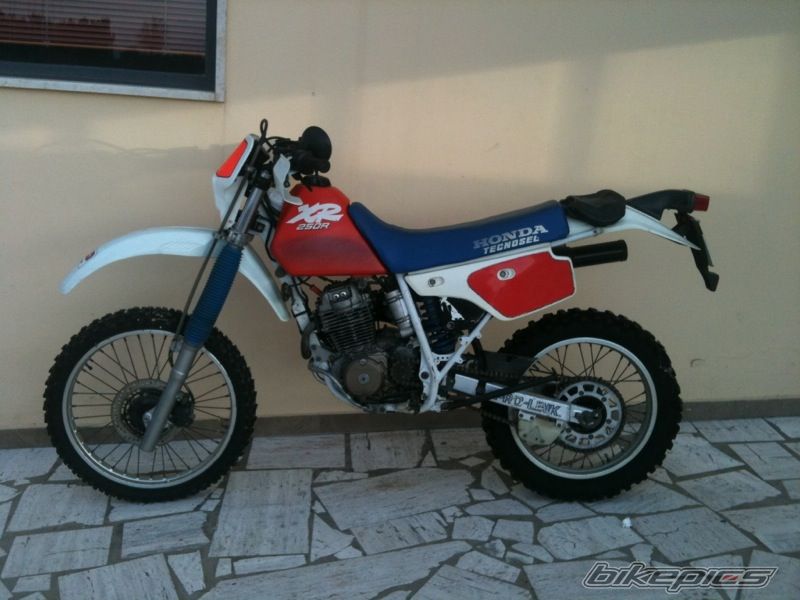 Photo 2658679