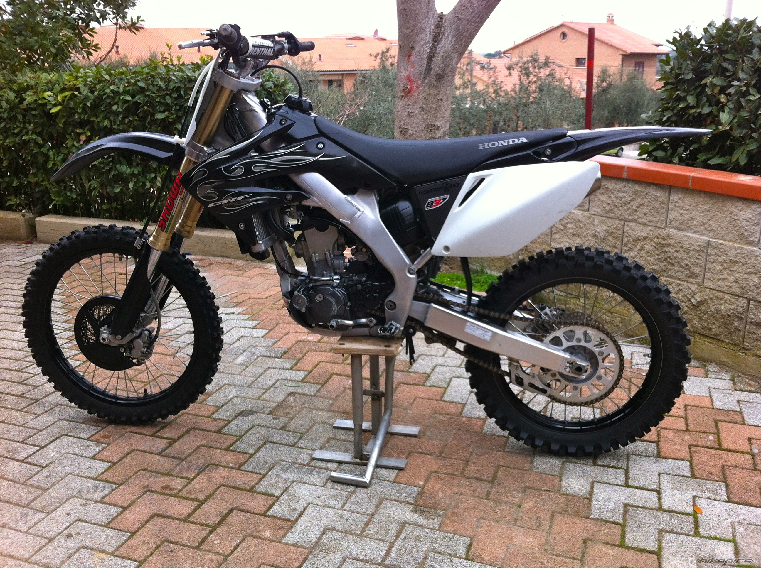 Photo 2658685