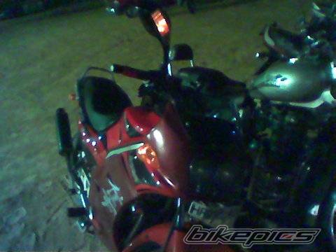 Photo 265873