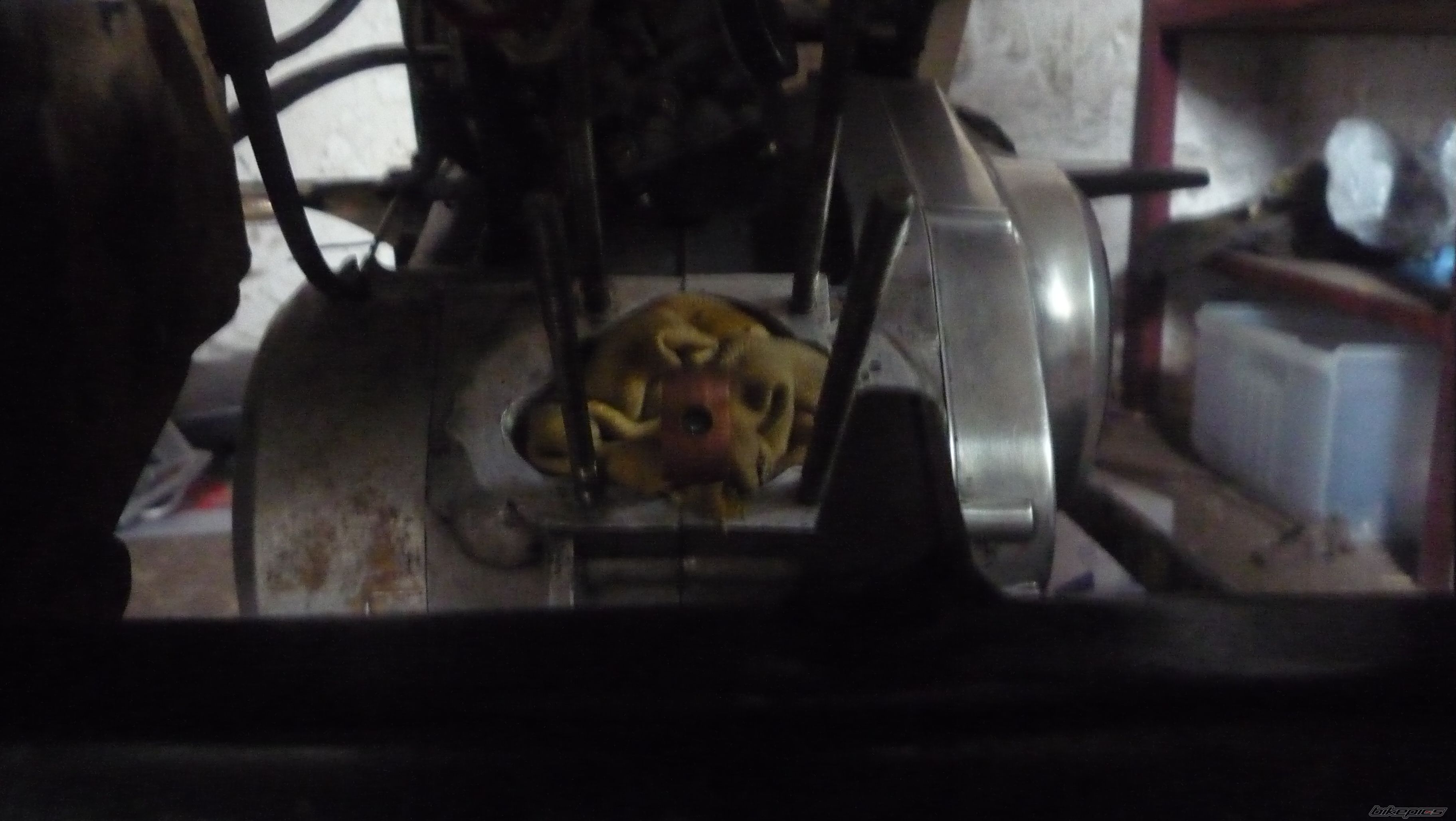 Photo 2658746