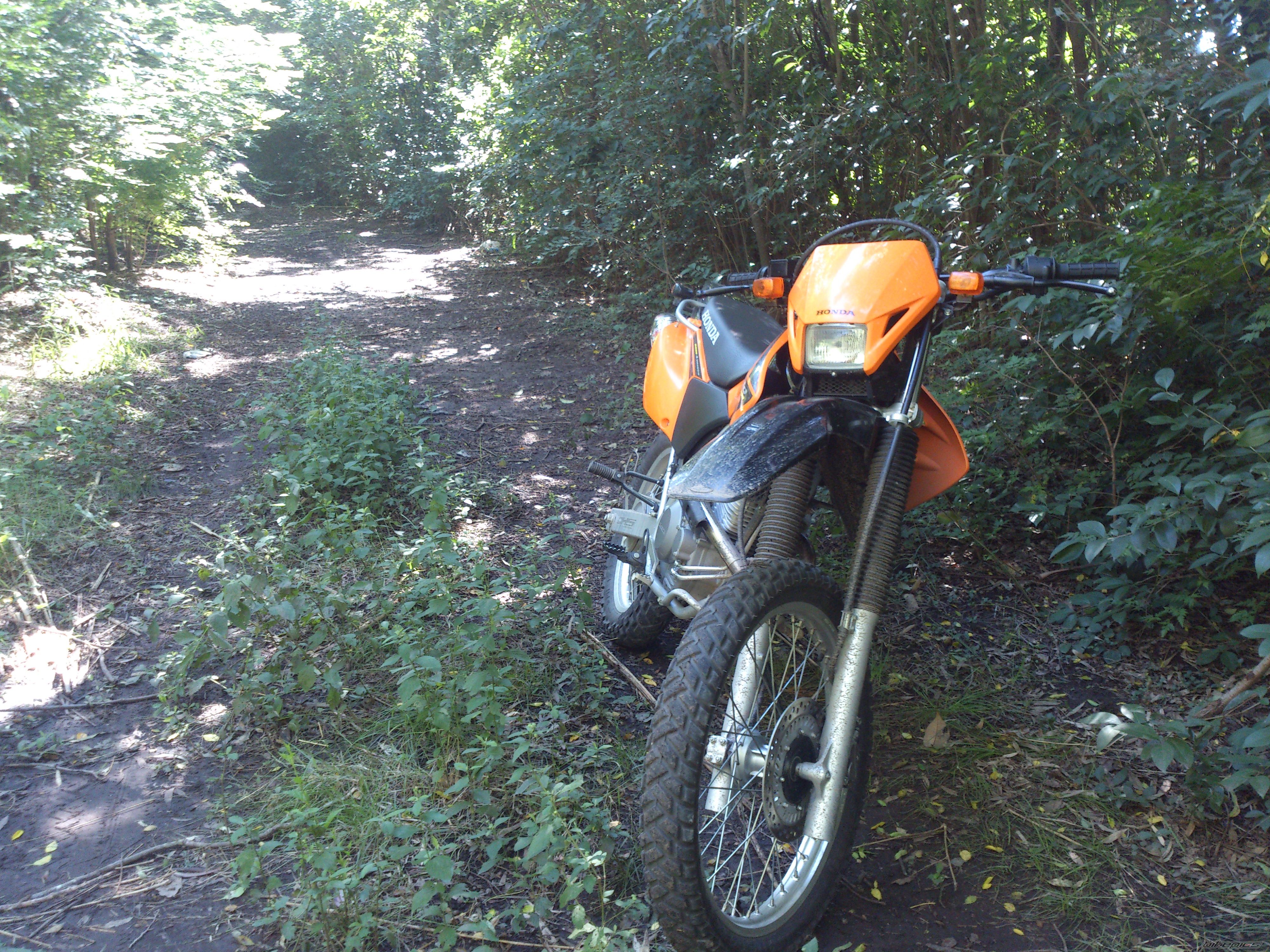 Photo 2658817