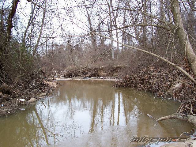 Photo 265890