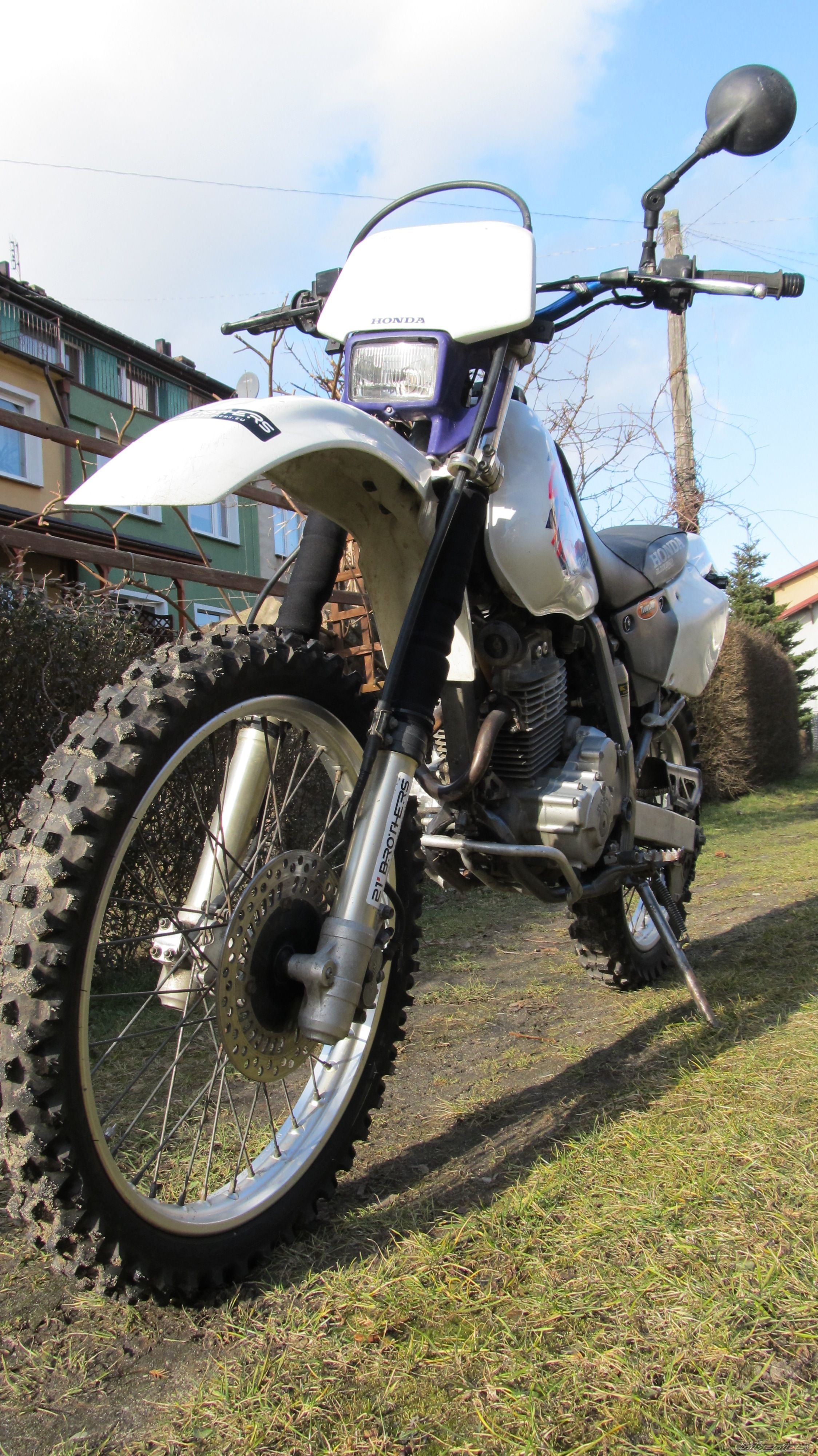Photo 2658920