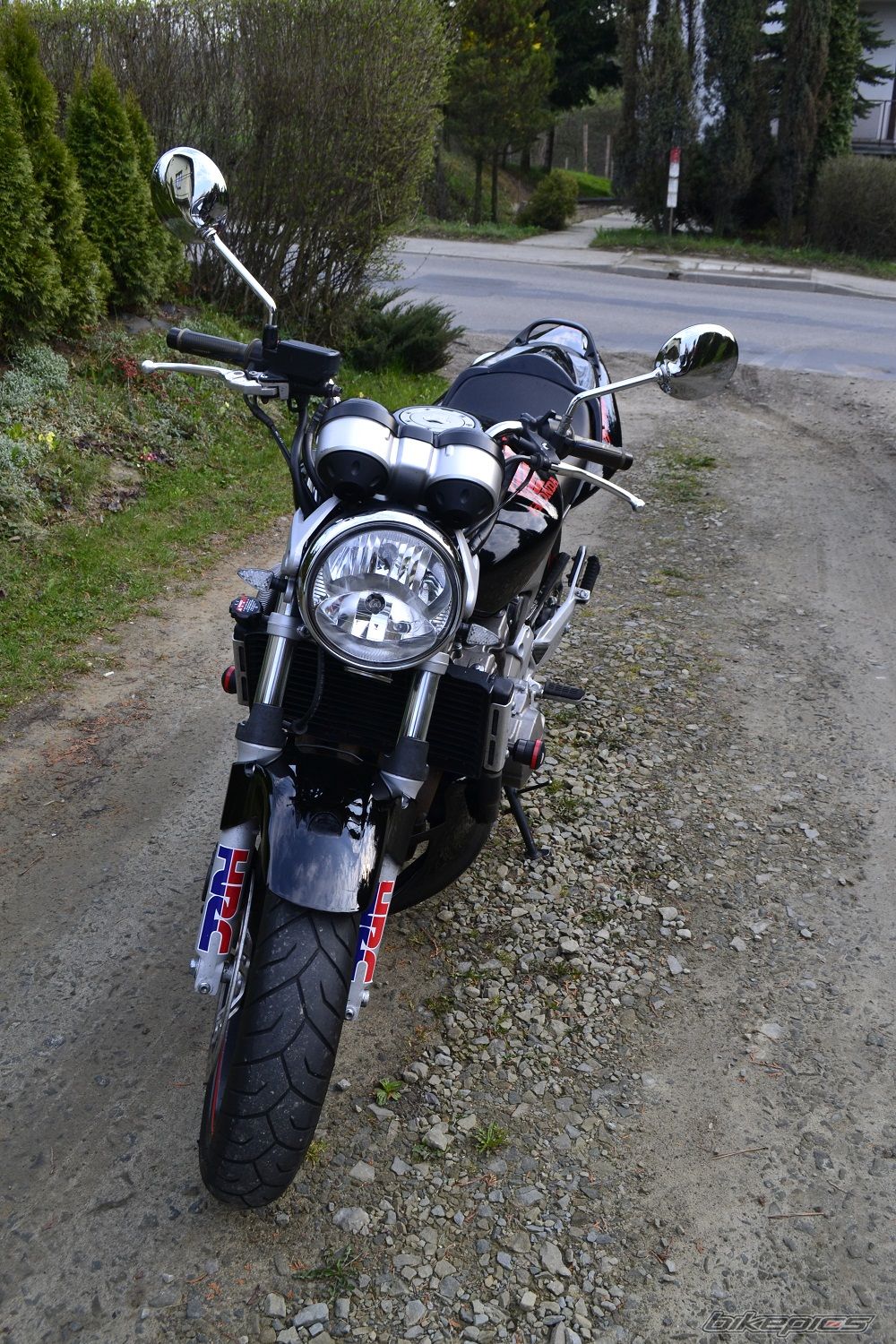 Photo 2658940
