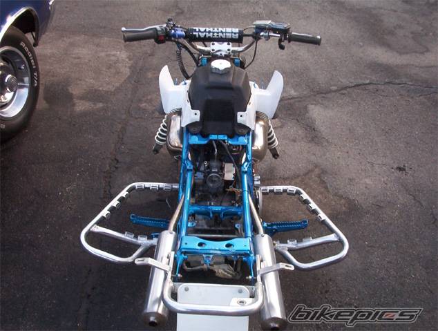 Photo 265901