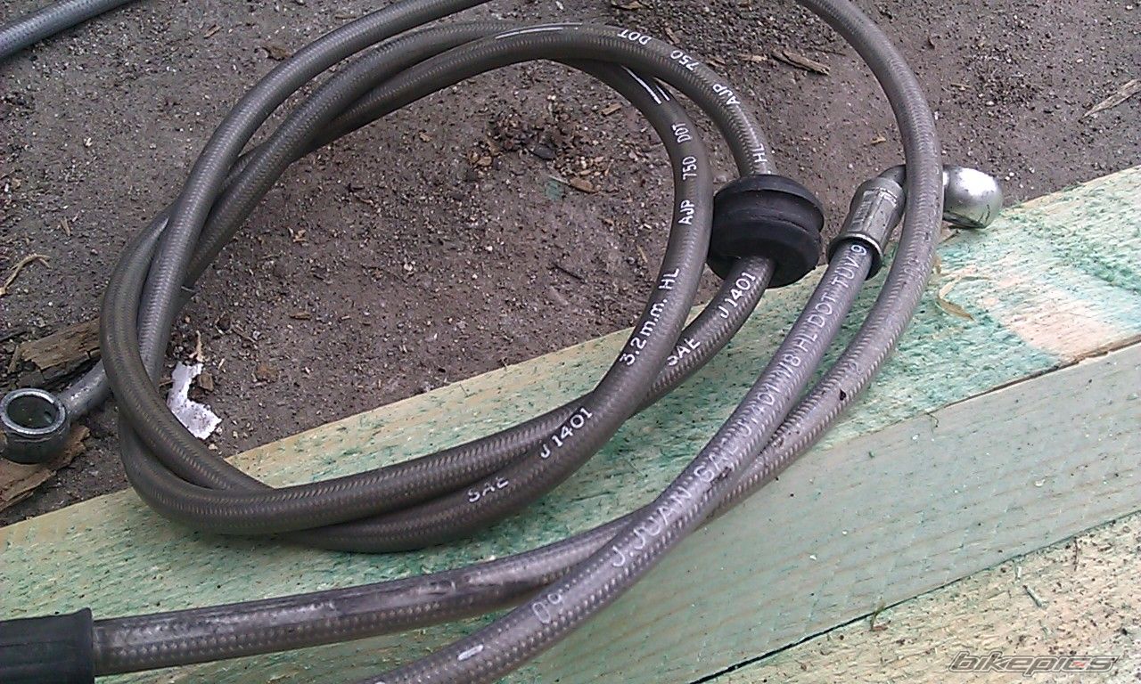 Photo 2659063