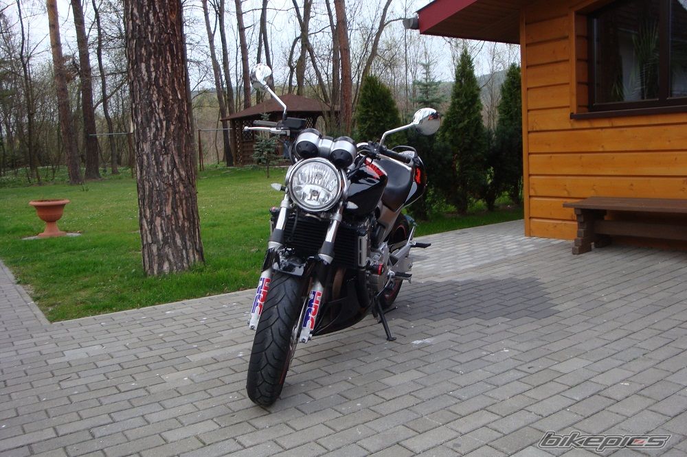 Photo 2659079