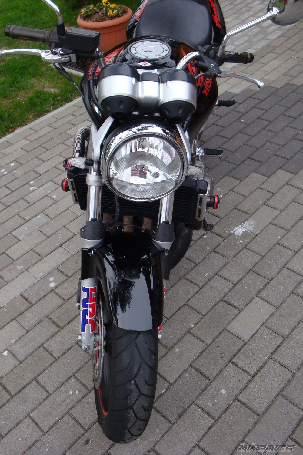 Photo 2659083