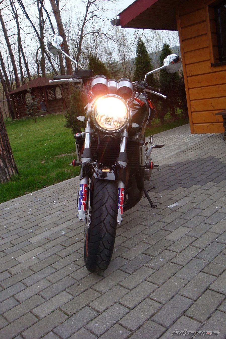 Photo 2659094
