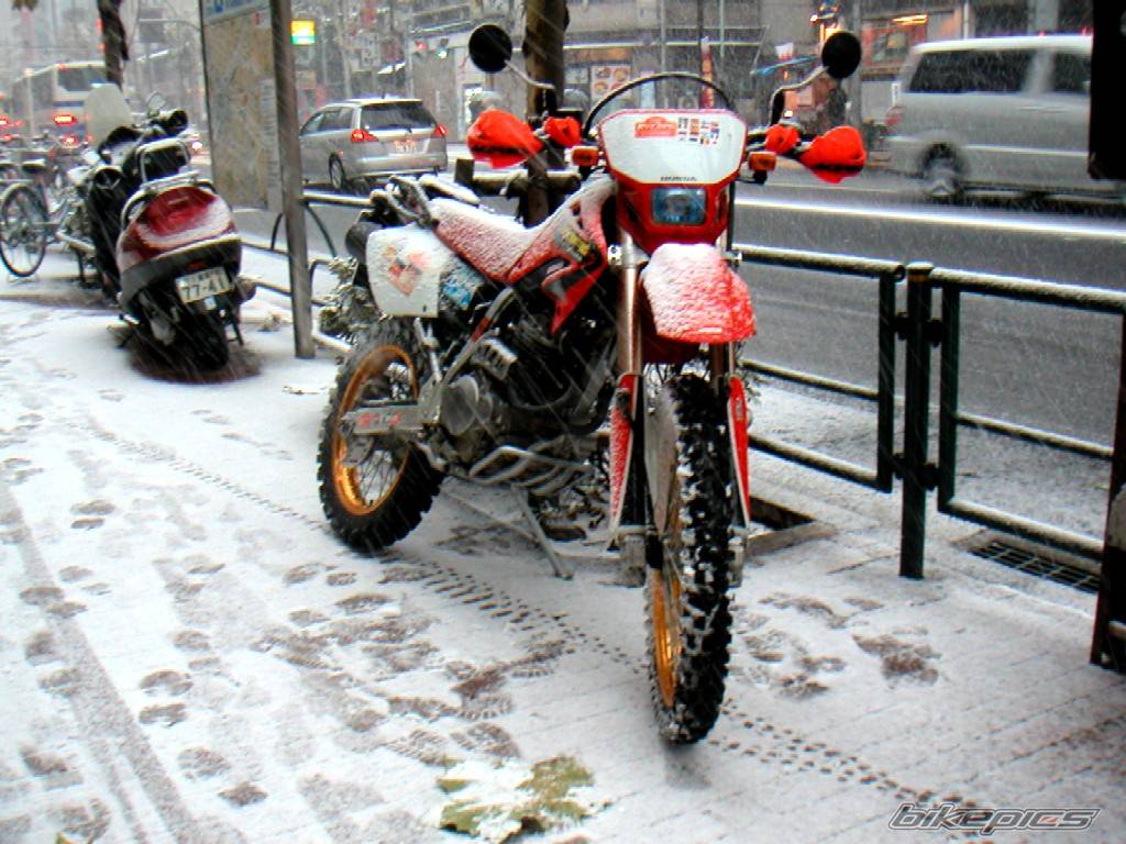 Photo 265912