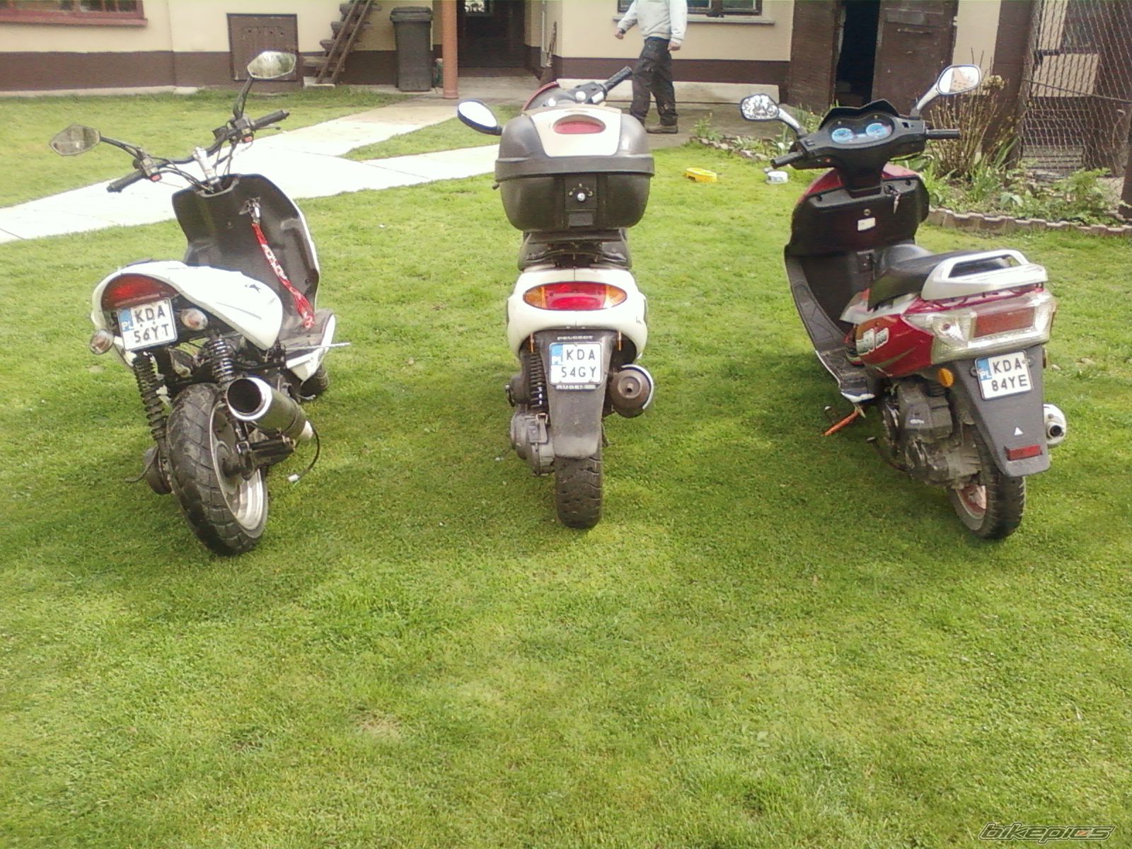 Photo 2659137