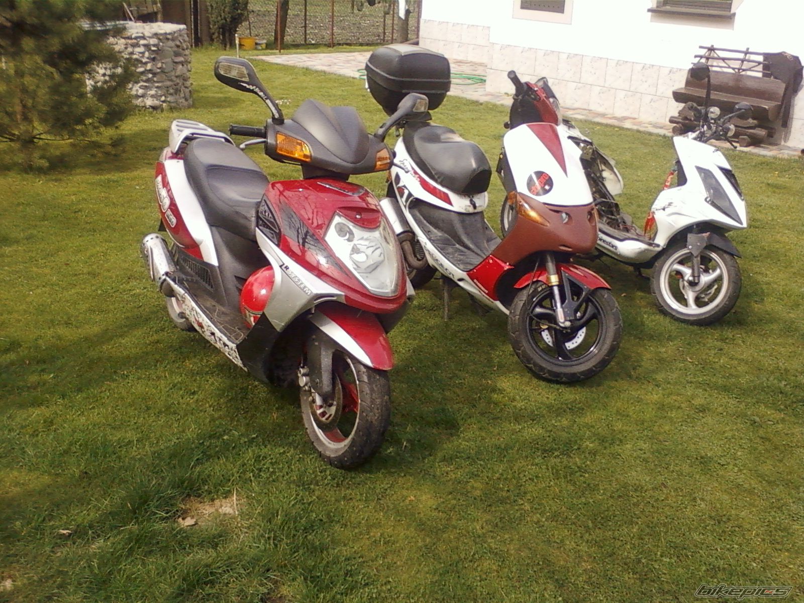 Photo 2659139