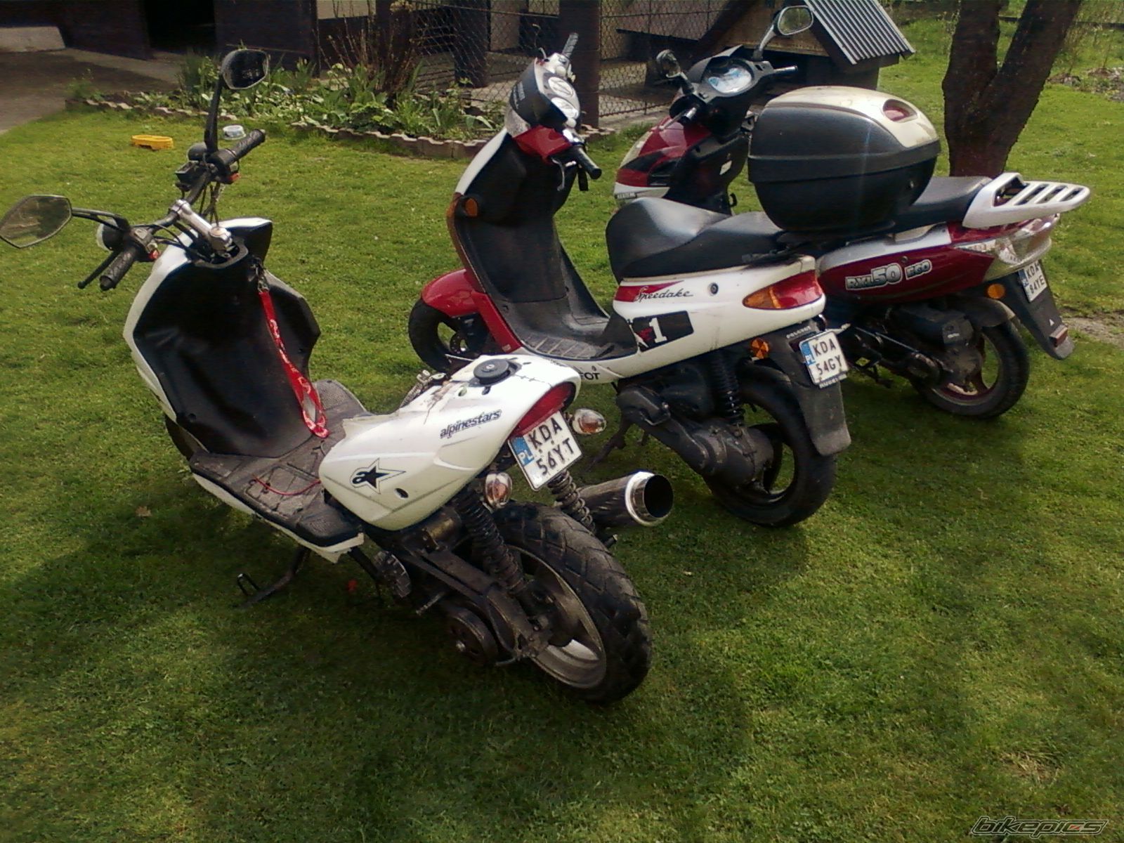 Photo 2659142