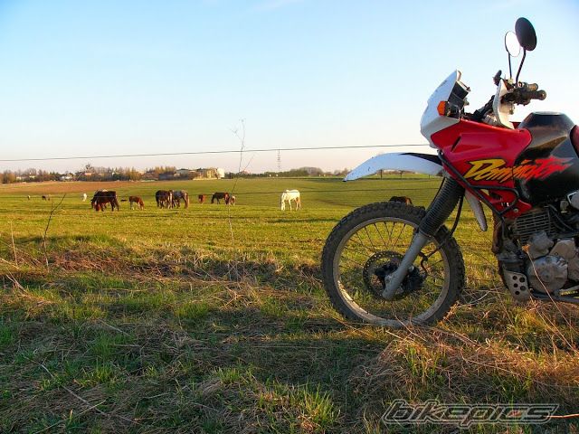 Photo 2659231