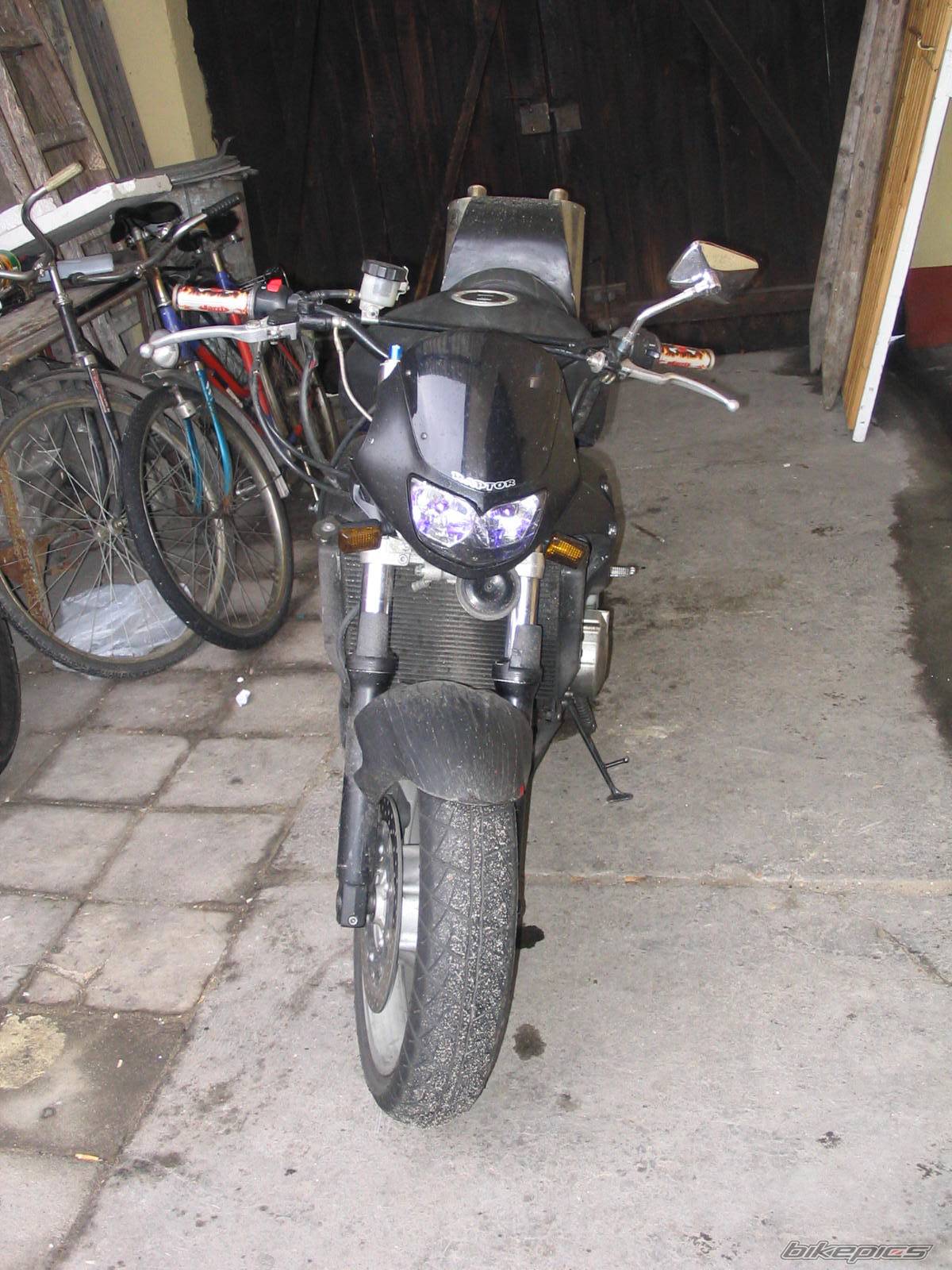 Photo 265925