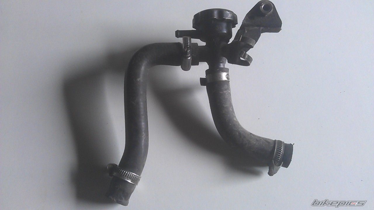 Photo 2659270