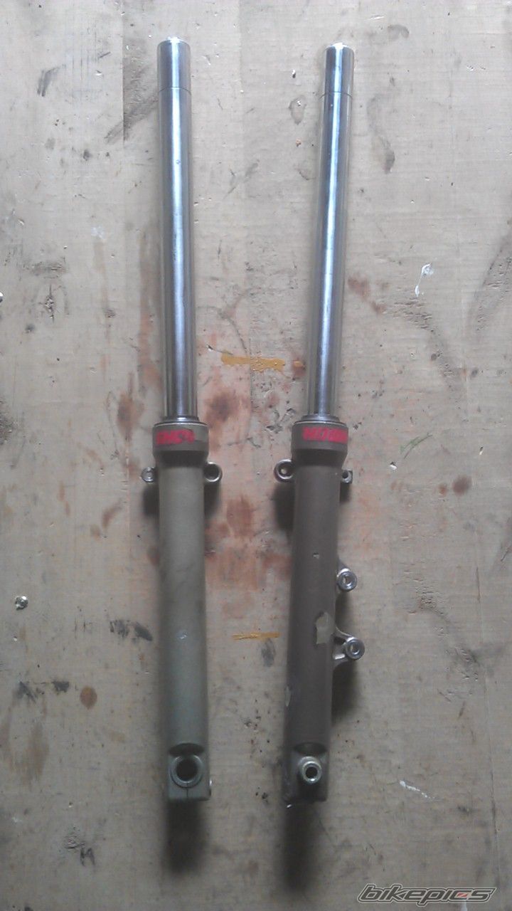 Photo 2659273
